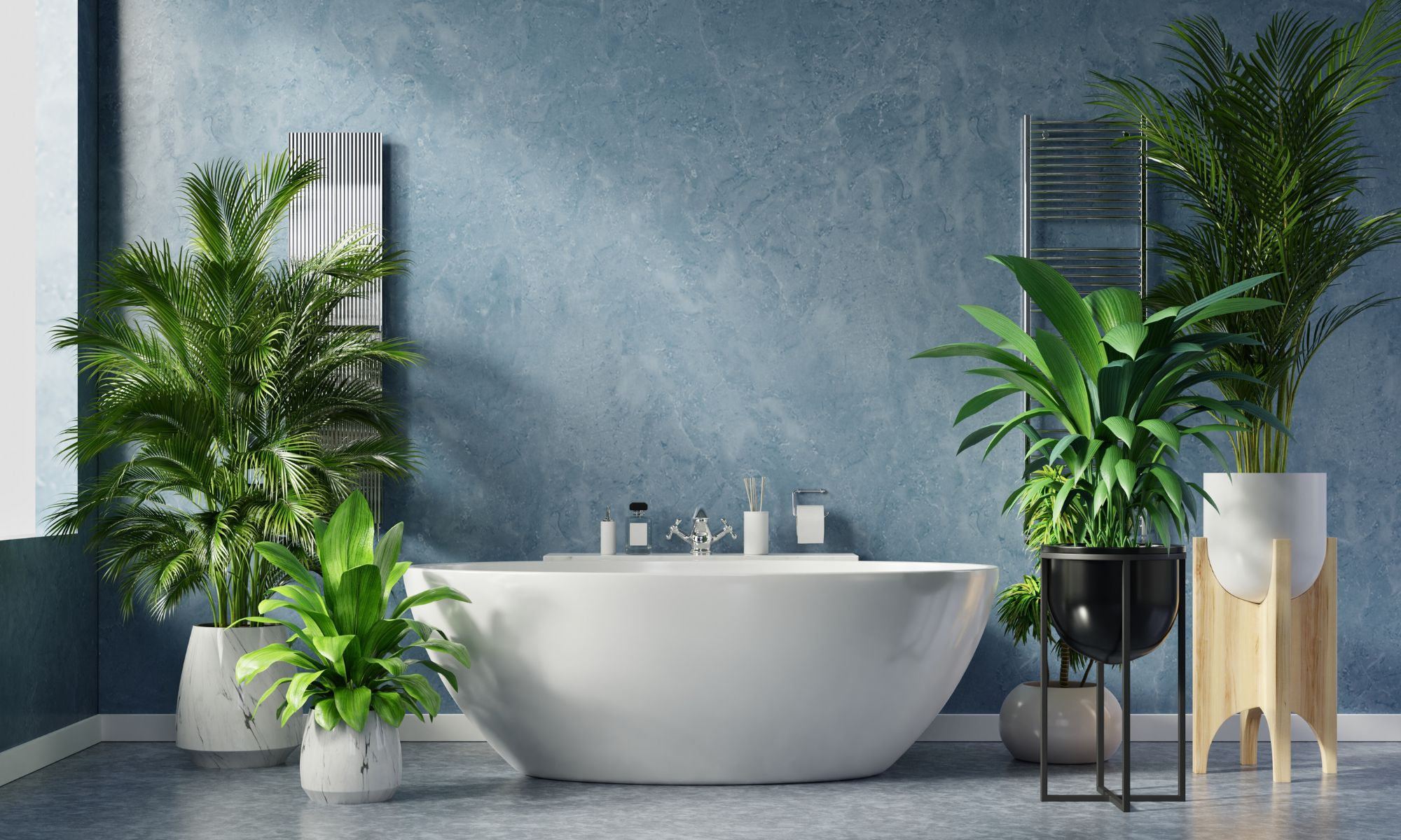 Modern Toilet Collections